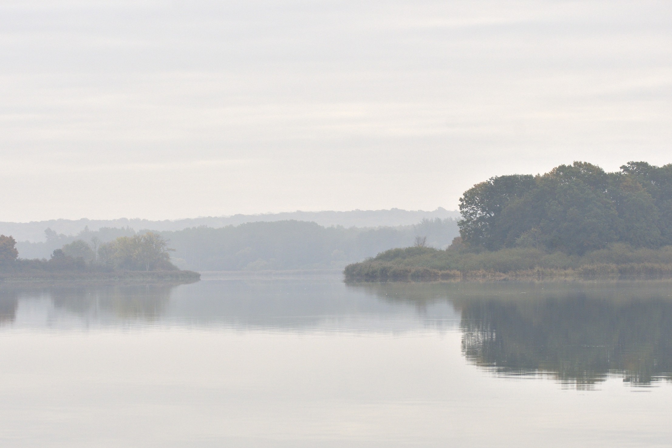Etang mosellan © Dominique Lorentz
