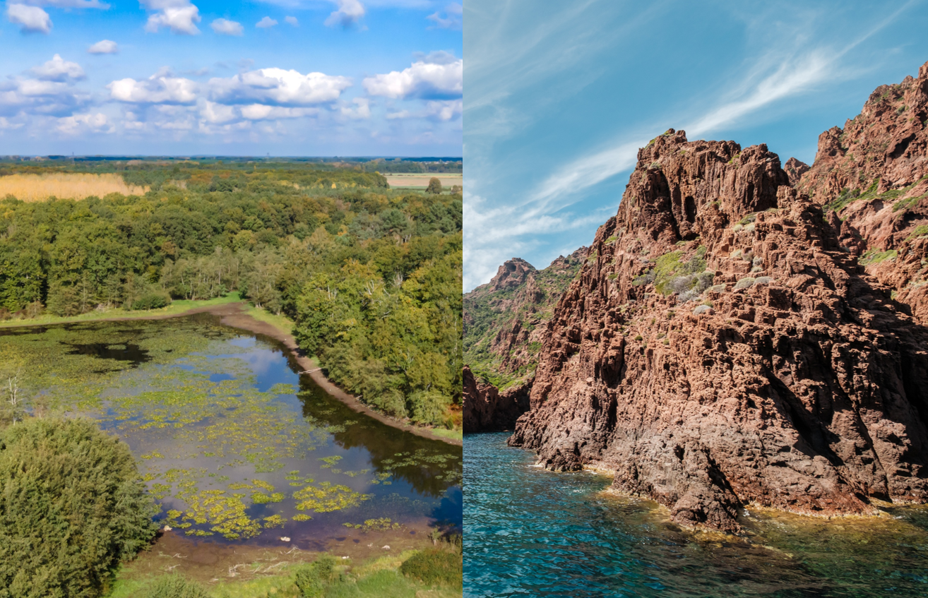 © thierry67 et joningall