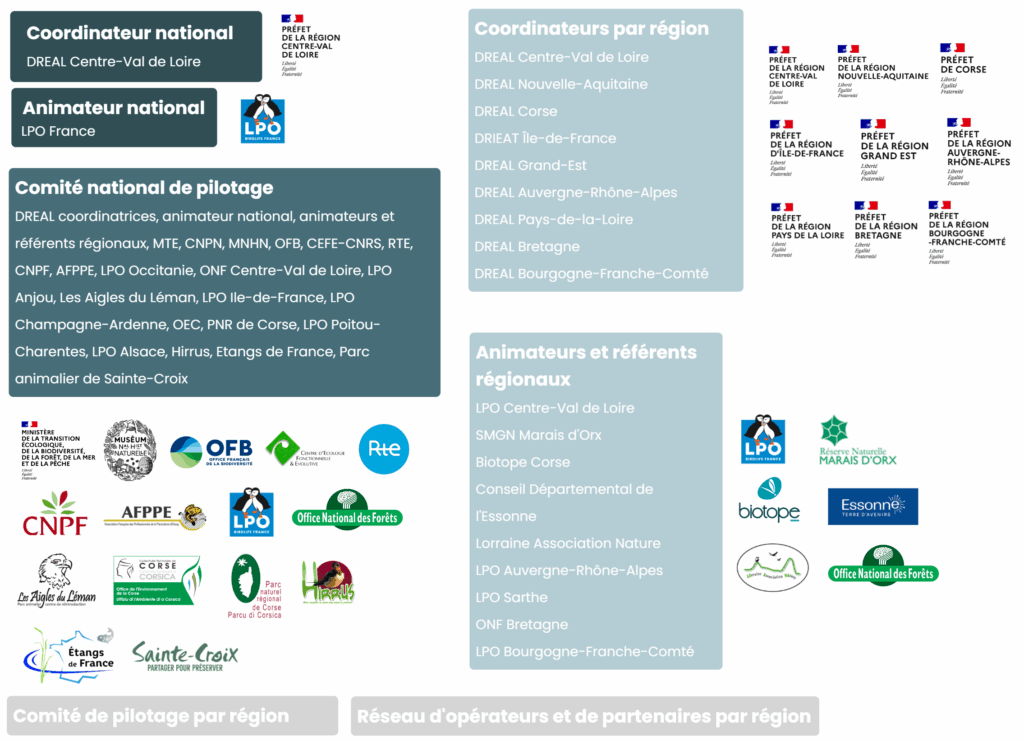 schéma gouvernance 2025