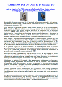 Avis du CNPN sur le projet de PNA en faveur des aigles pêcheurs (2020-2029)