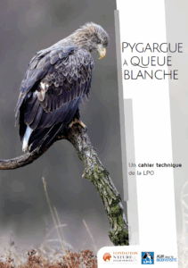 Cahier technique Pygargue à queue blanche – LPO France