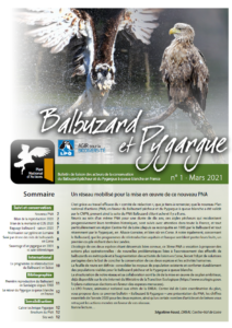 Bulletin de liaison du PNA aigles pêcheurs n°1