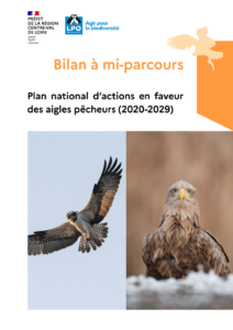 Bilan à mi-parcours du PNA aigles pêcheurs